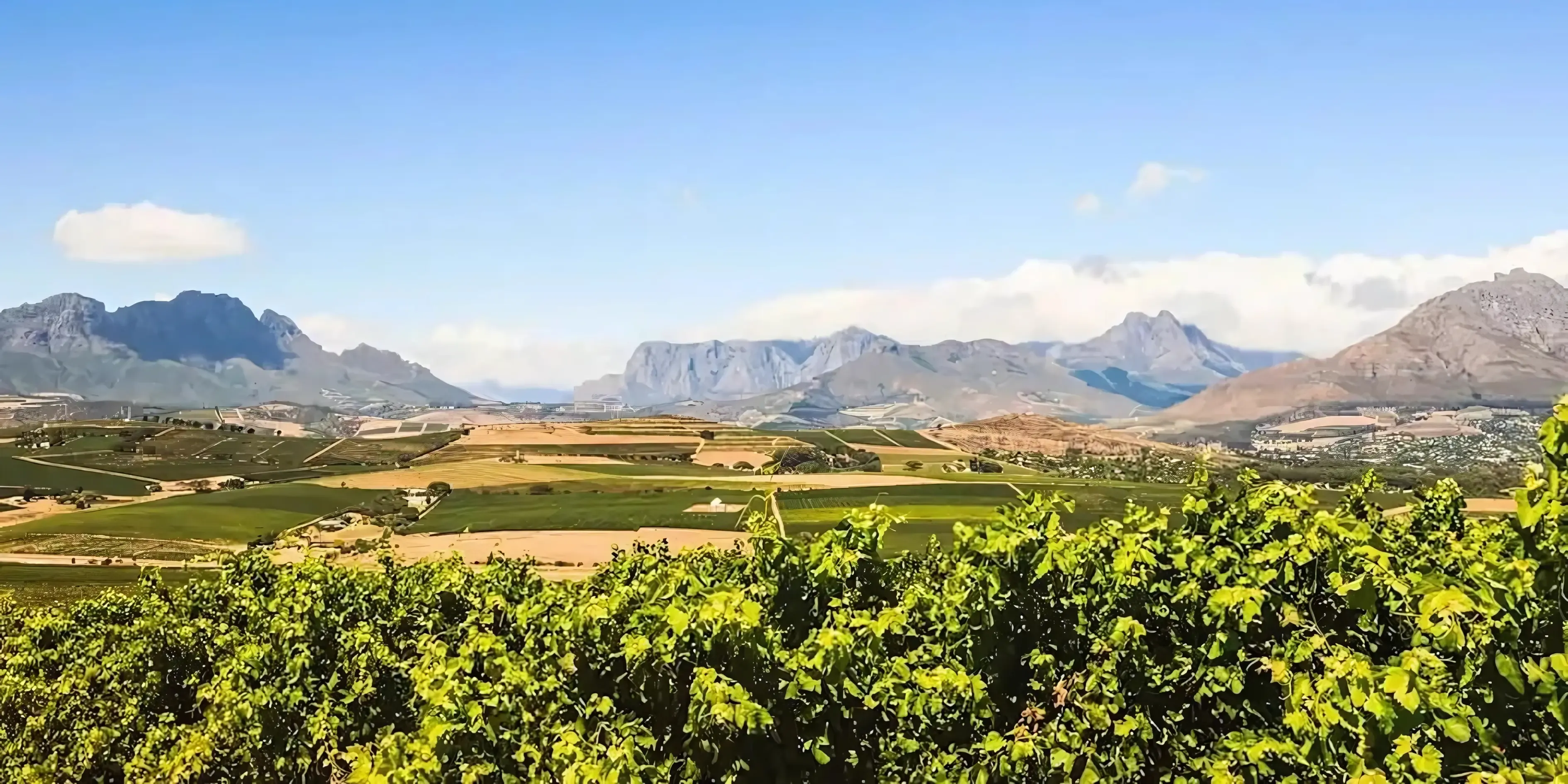 Stellenbosch, Cape Town