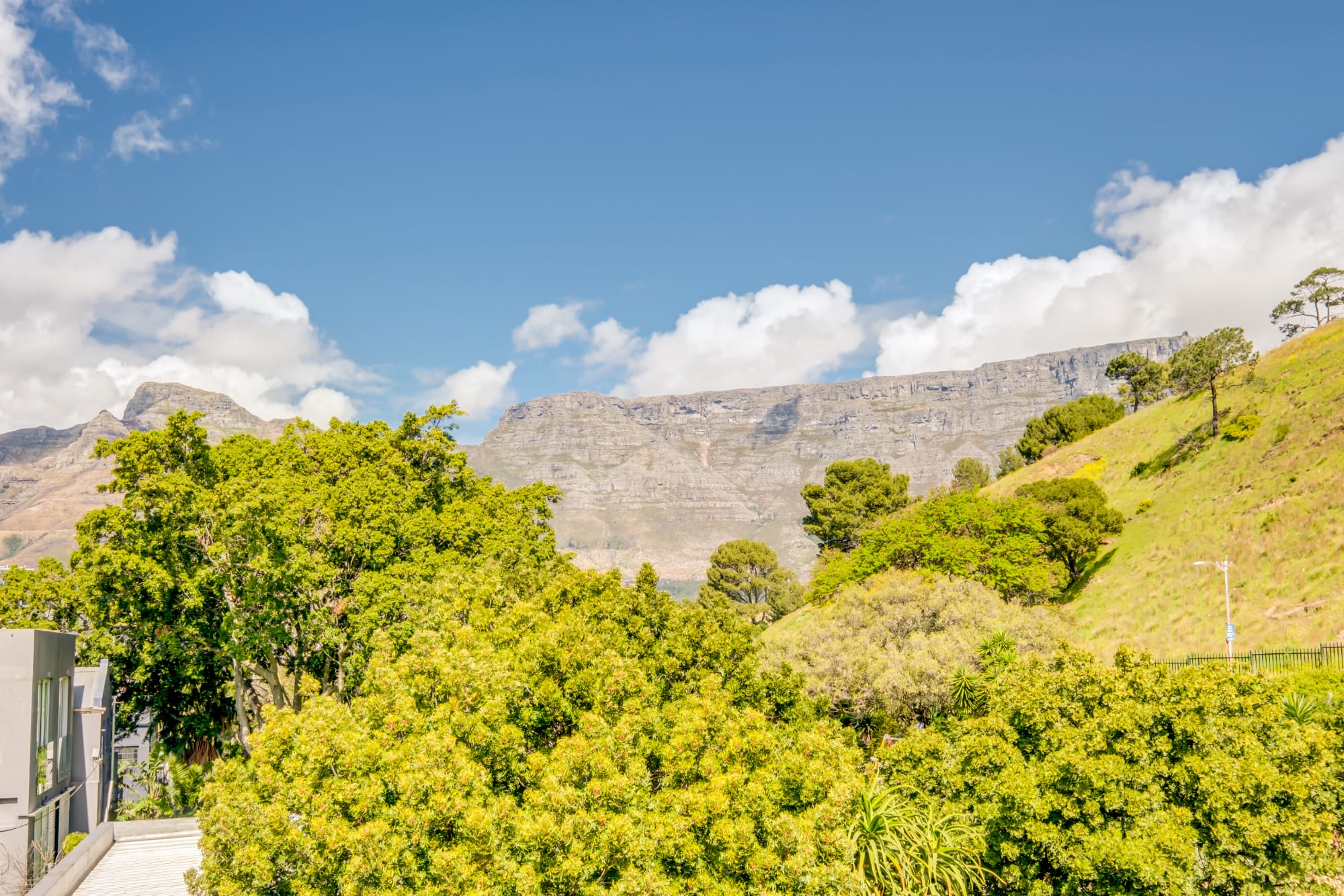 property_[object Object]_17