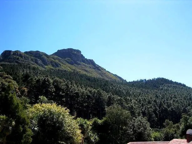 property_[object Object]_1