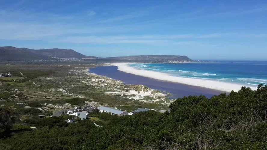 Noordhoek Albatros, Chapmans Peak