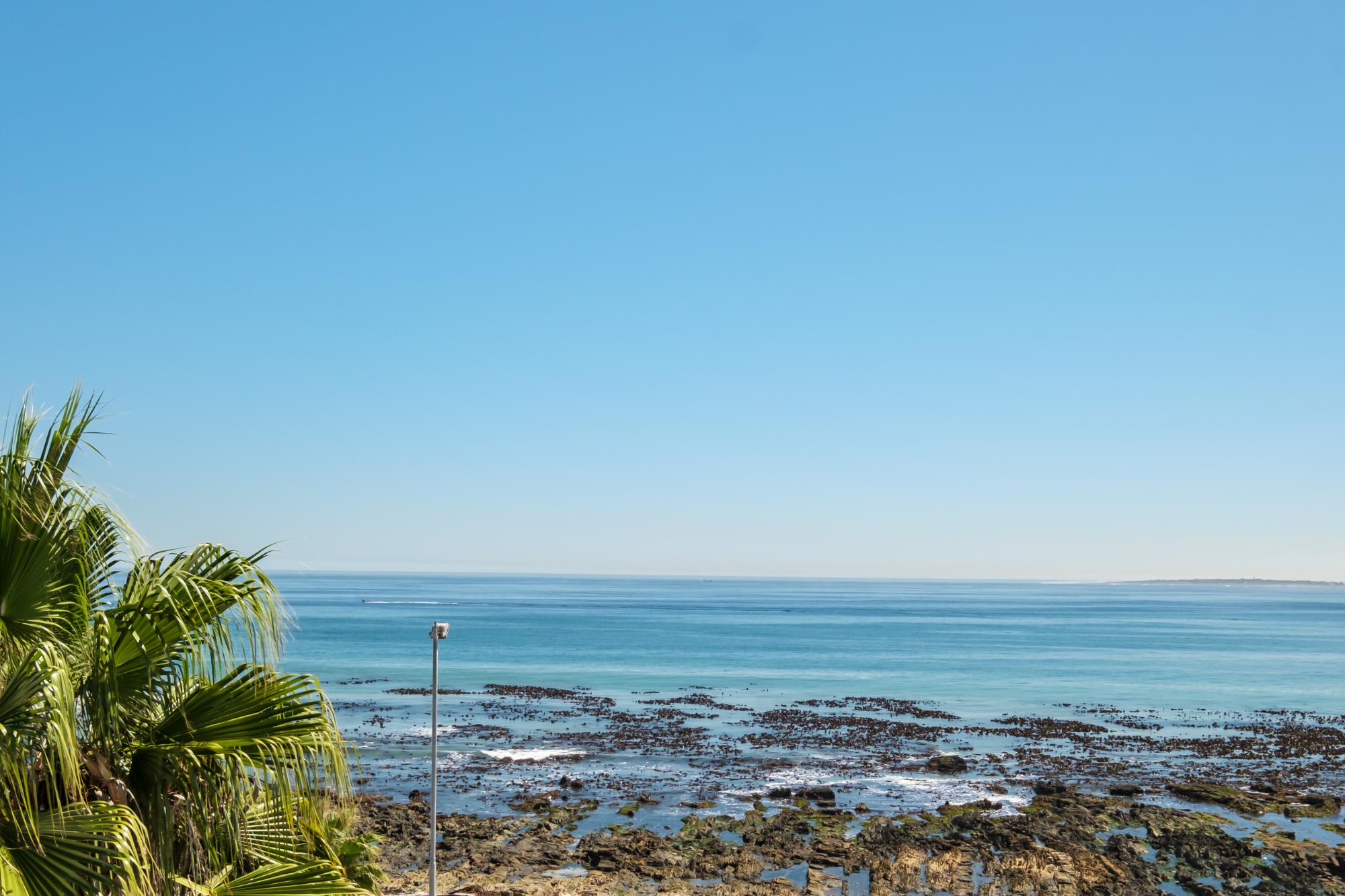 property_[object Object]_14