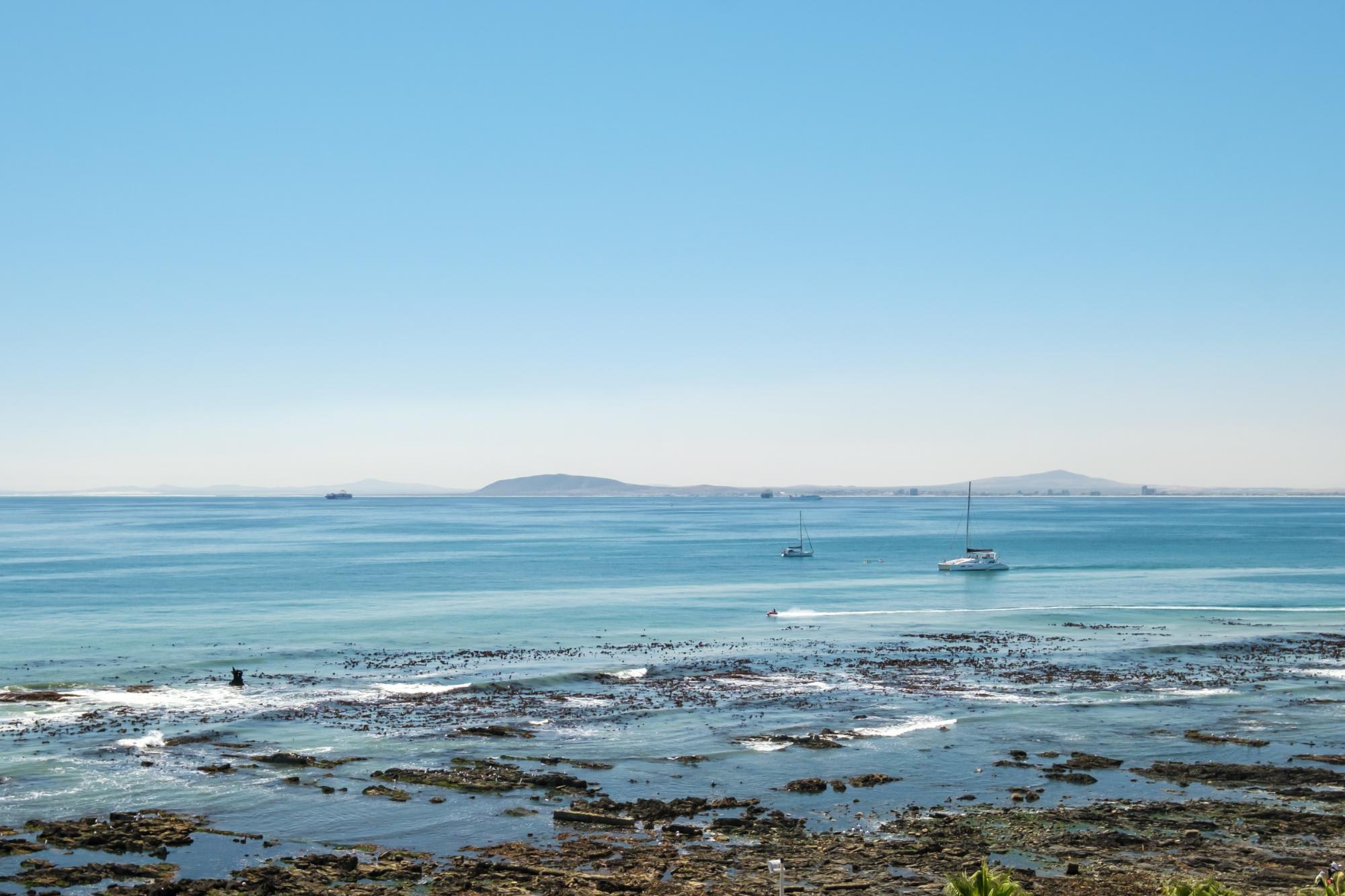 property_[object Object]_26