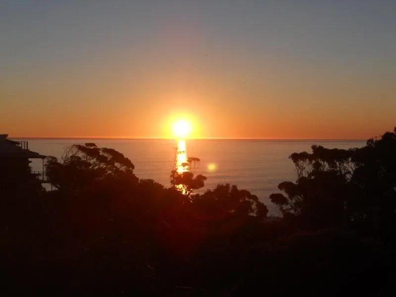 property_[object Object]_13