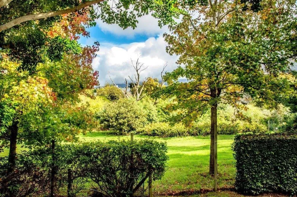 property_[object Object]_5