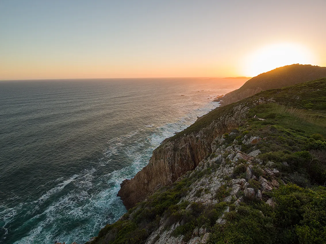 property_[object Object]_29