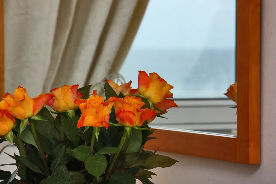 property_[object Object]_11