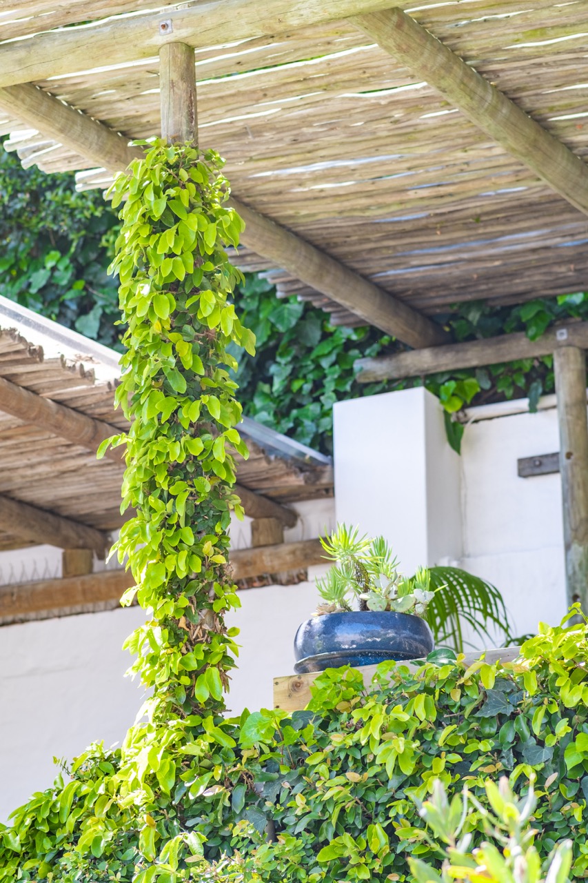 property_[object Object]_37