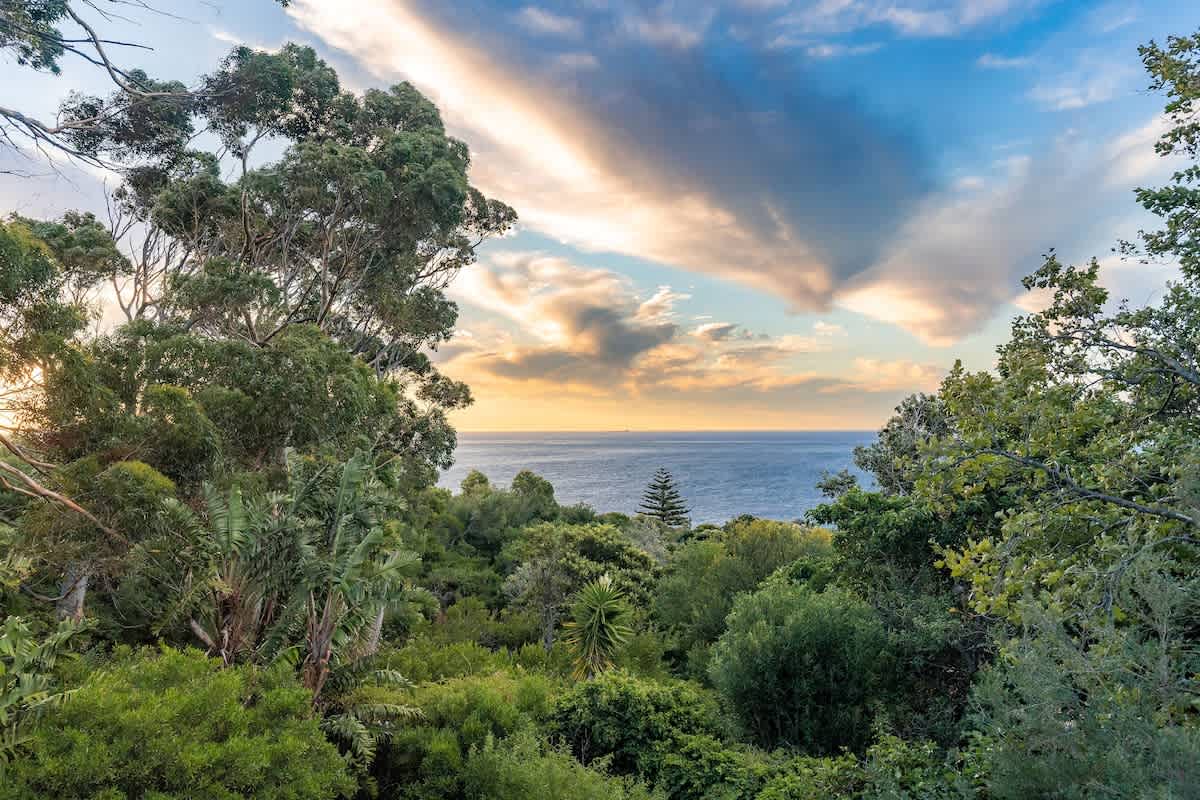 property_[object Object]_48