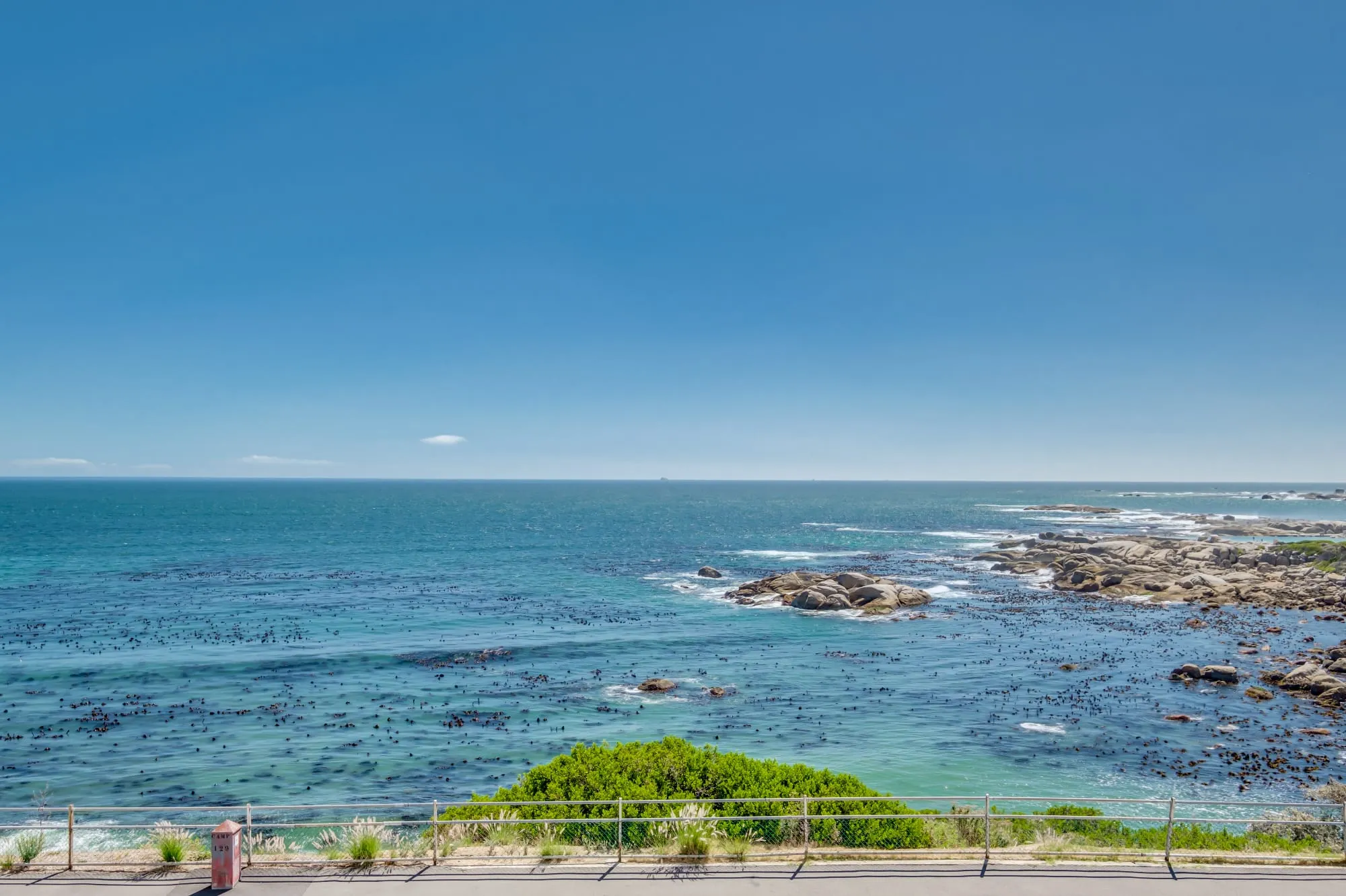 property_[object Object]_19