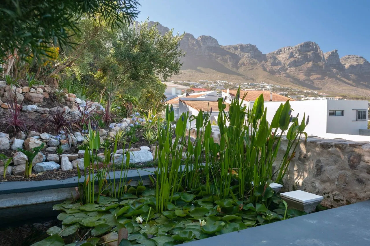 property_[object Object]_25