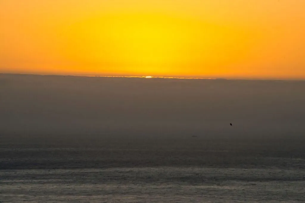 property_[object Object]_8