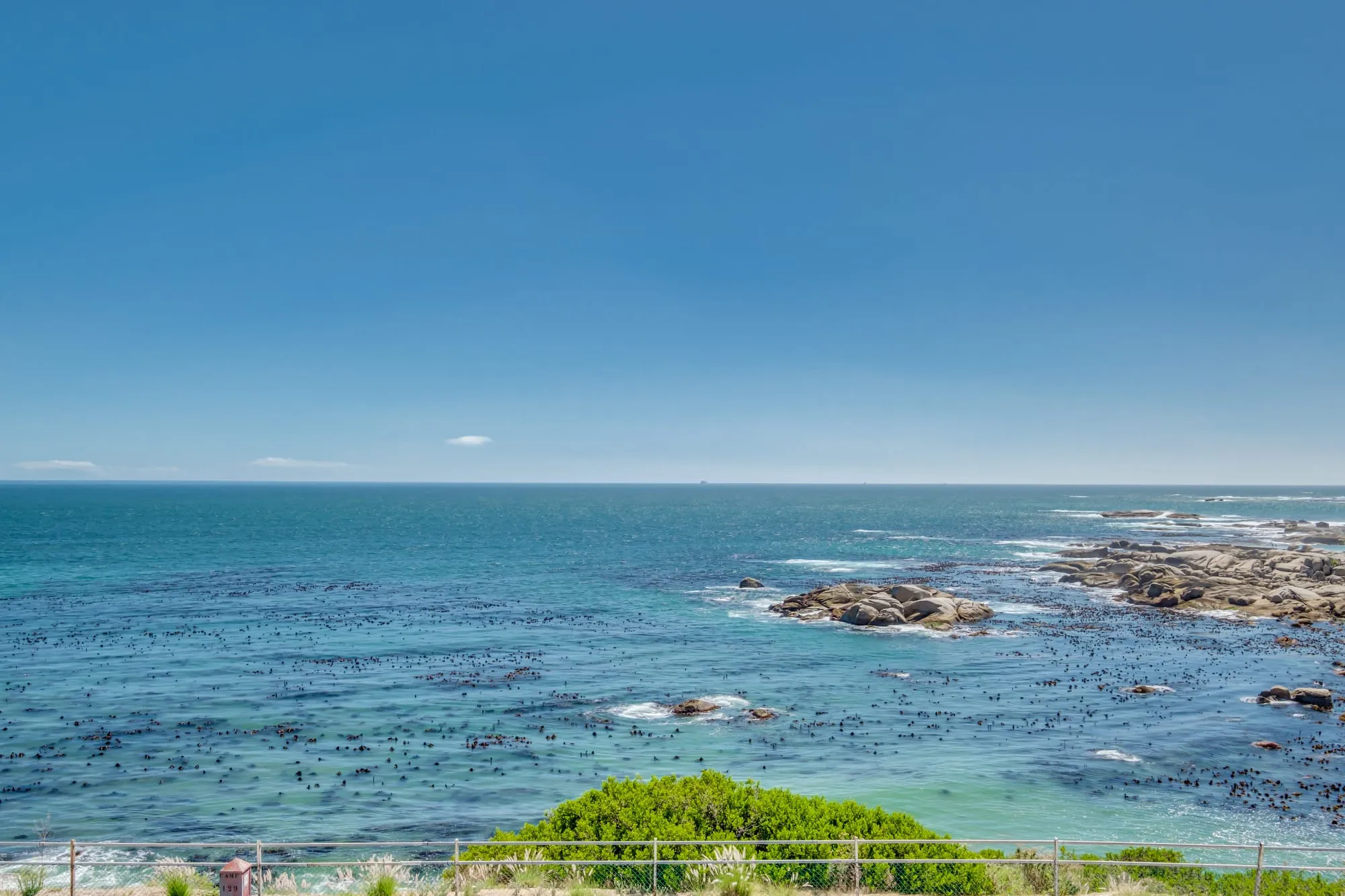 property_[object Object]_20