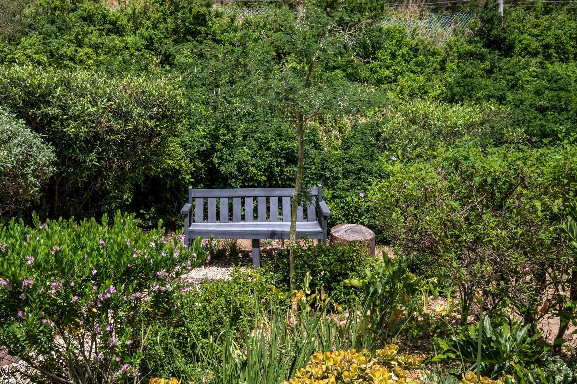 property_[object Object]_36