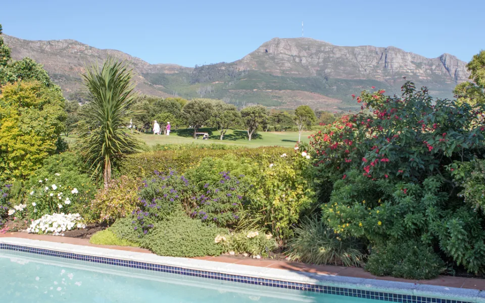 property_[object Object]_31