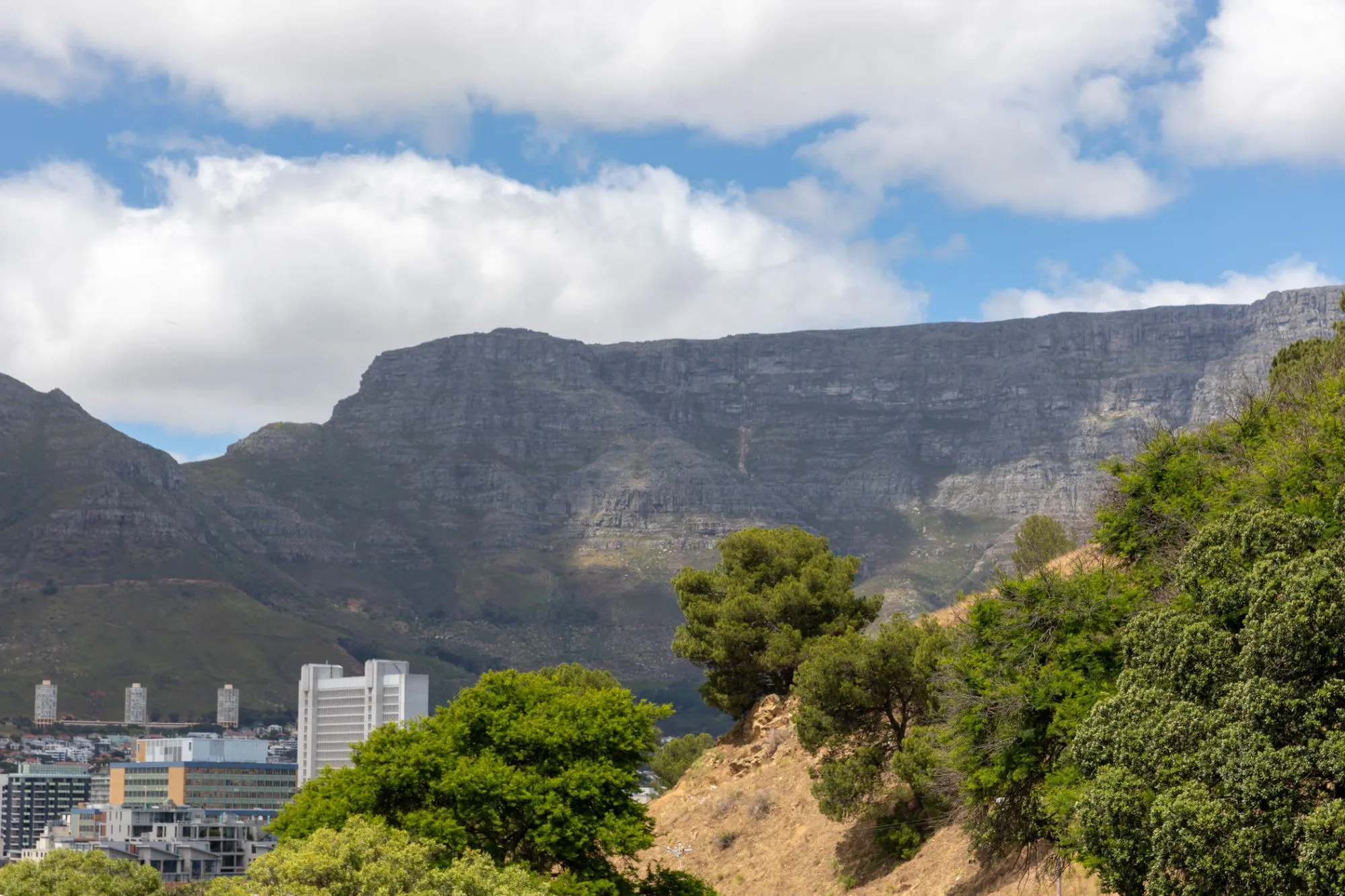 property_[object Object]_32