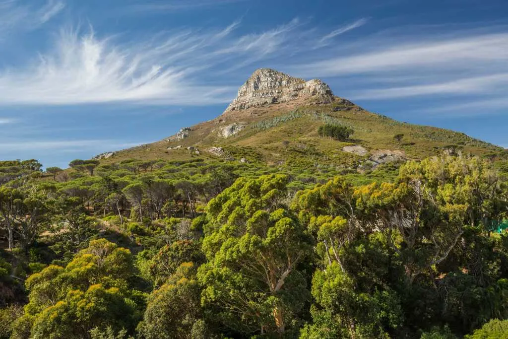 property_[object Object]_2