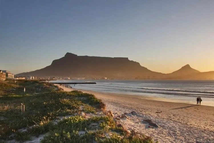 property_[object Object]_19