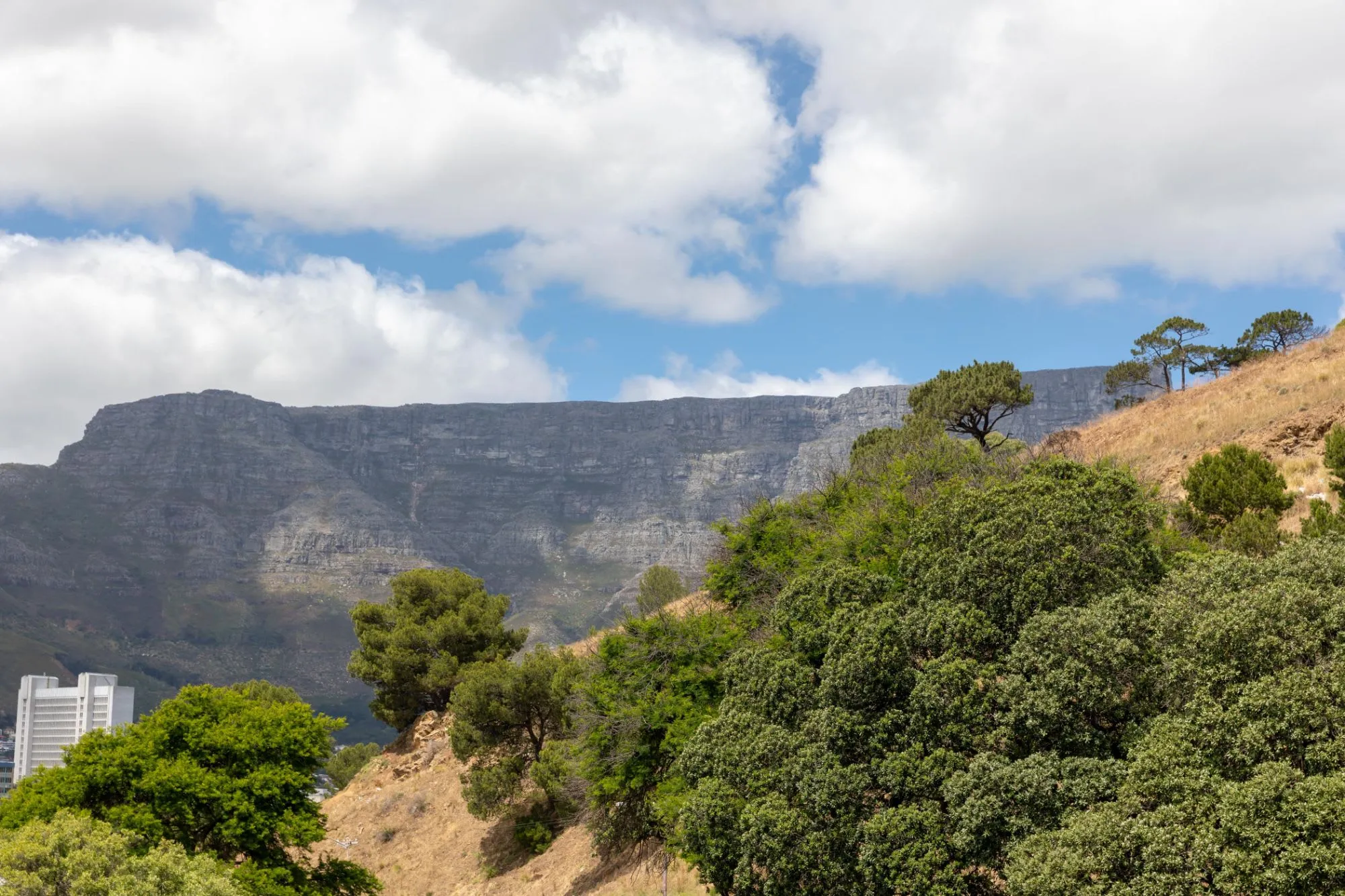 property_[object Object]_31