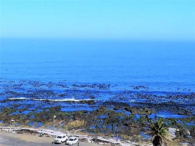 property_[object Object]_18