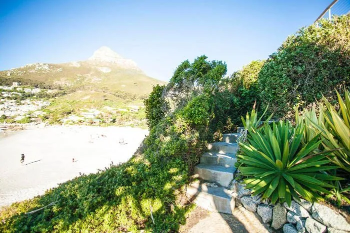 property_[object Object]_19