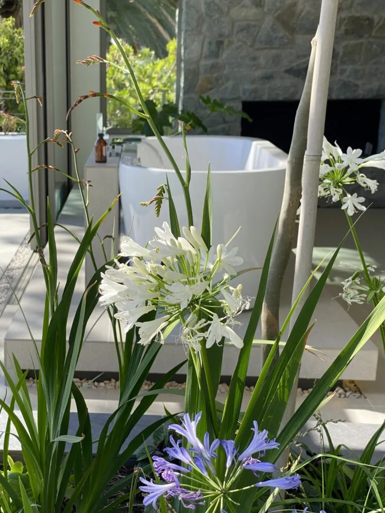 property_[object Object]_37