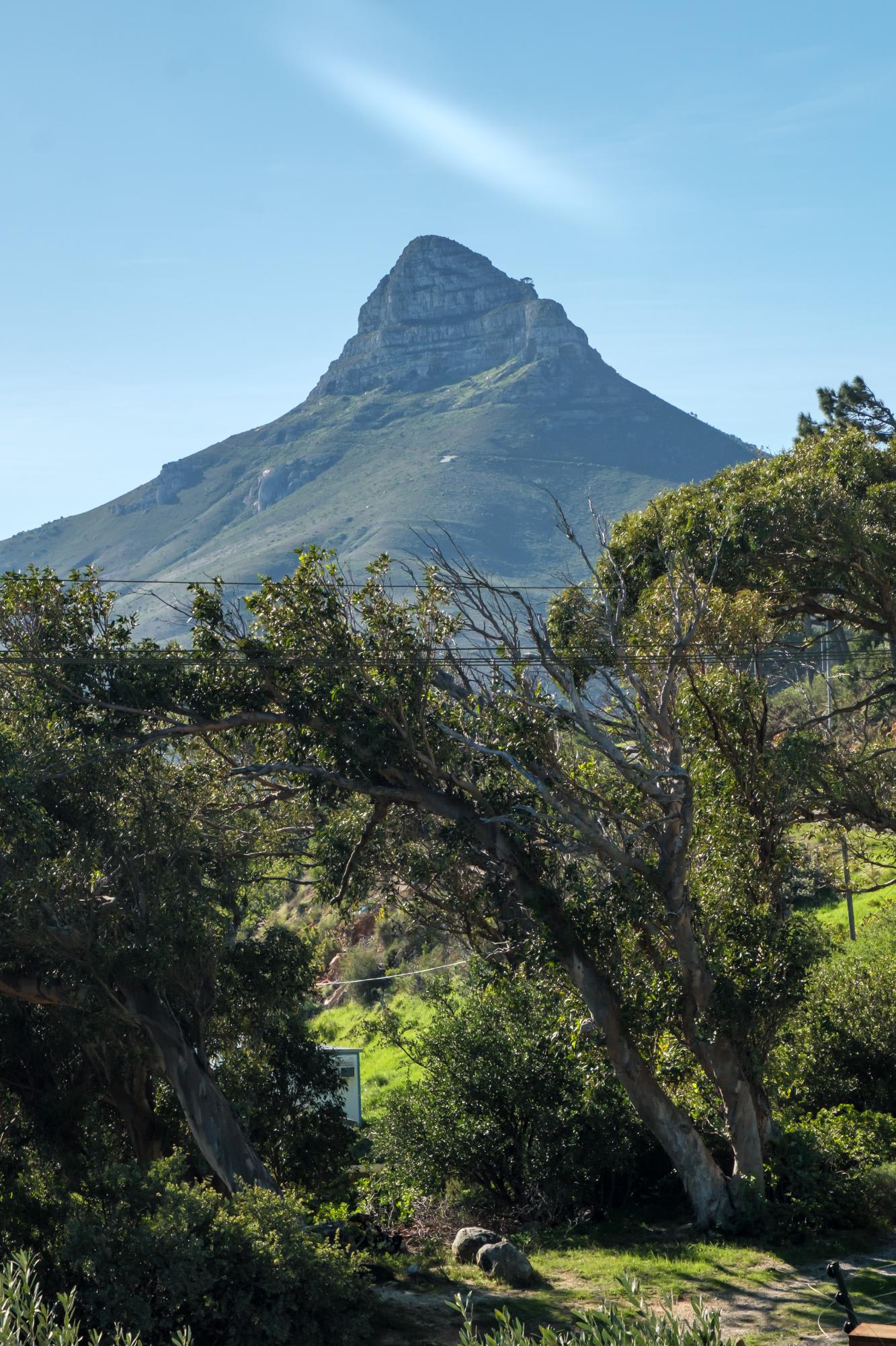 property_[object Object]_11