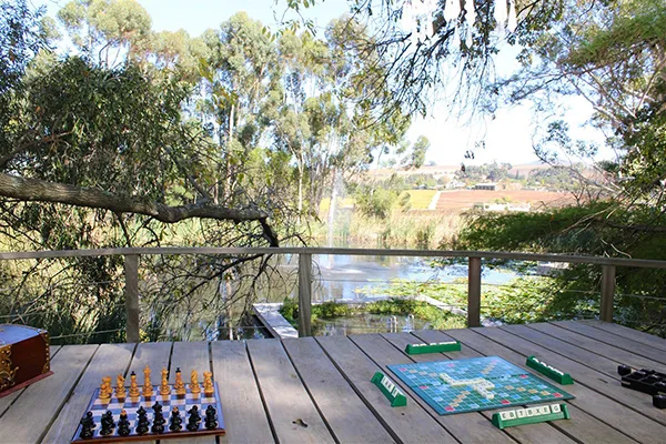 property_[object Object]_35