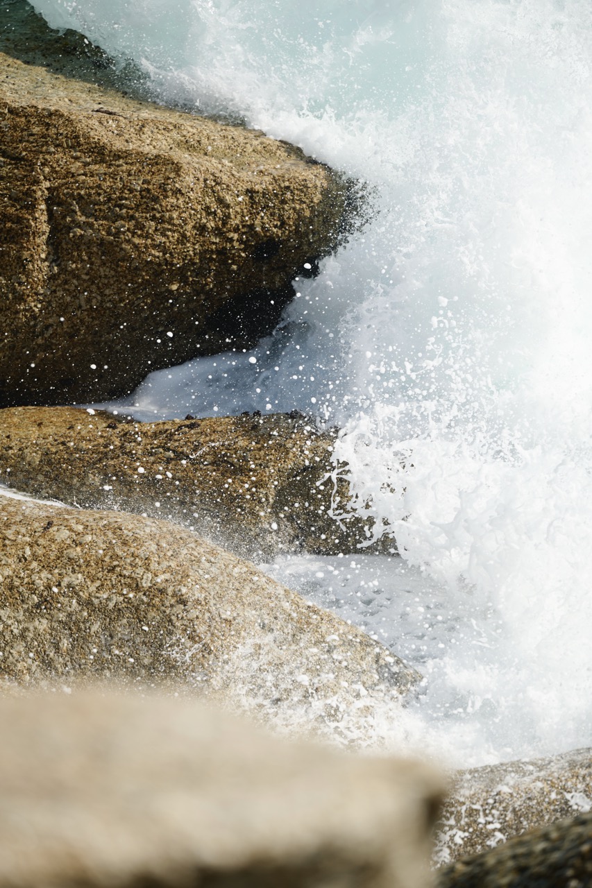 property_[object Object]_49