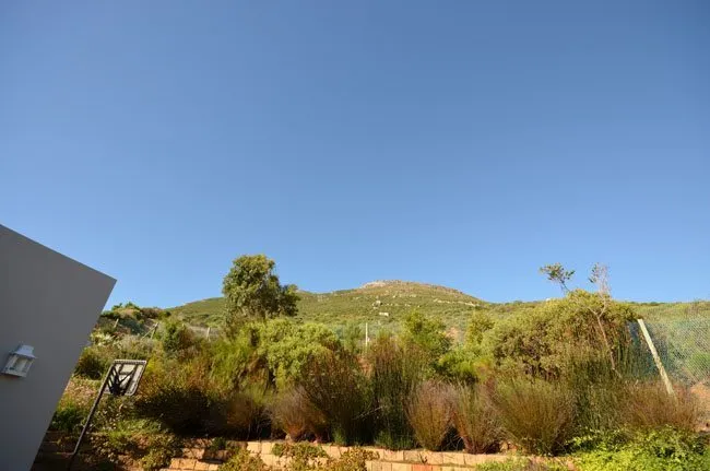 property_[object Object]_13