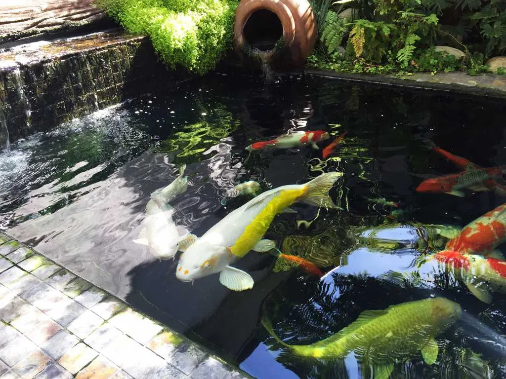 property_[object Object]_1