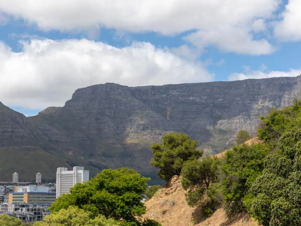 207 De Waterkant Place, Green Point