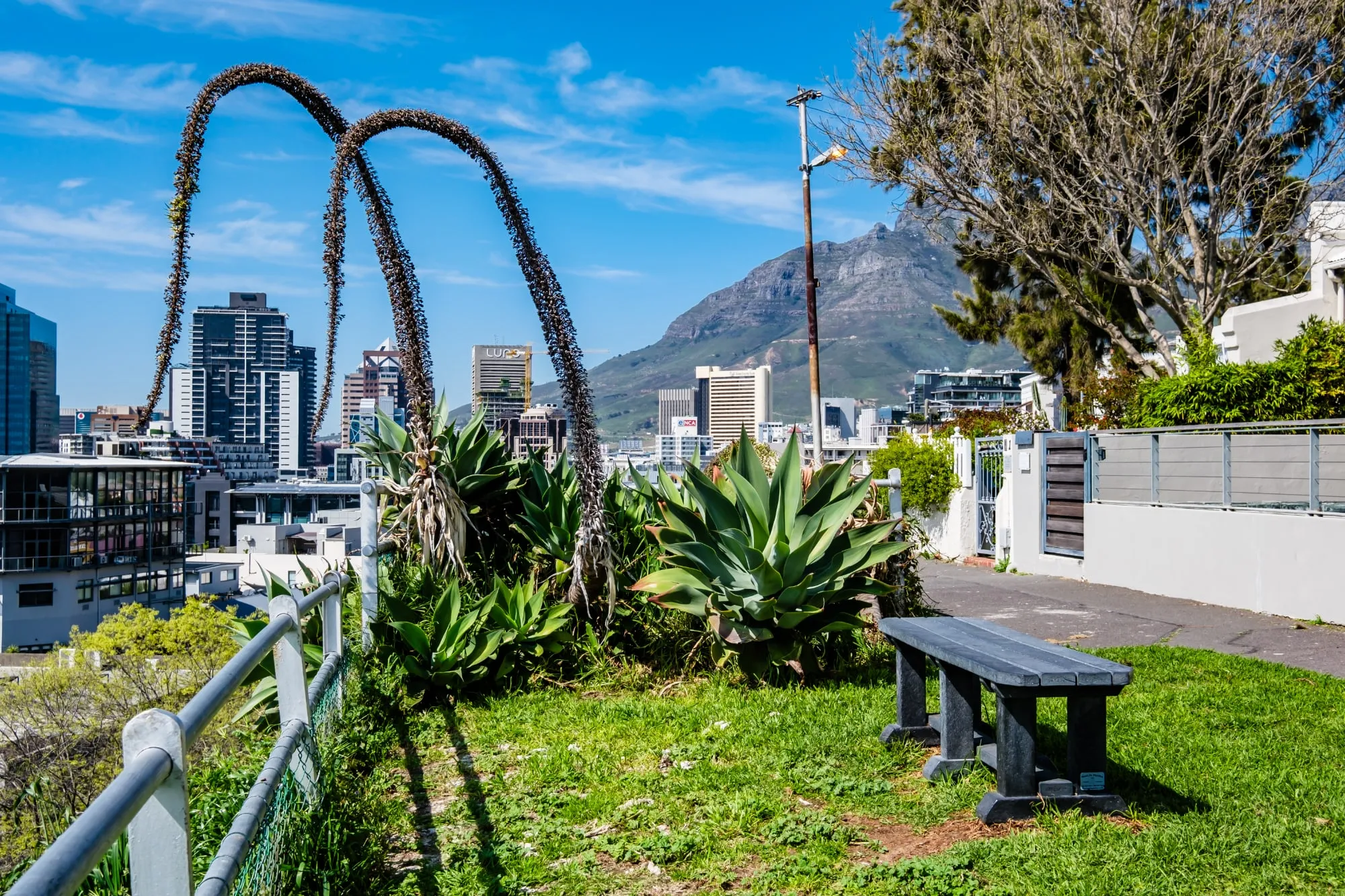 property_[object Object]_34