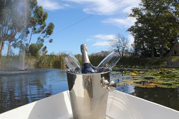 property_[object Object]_34