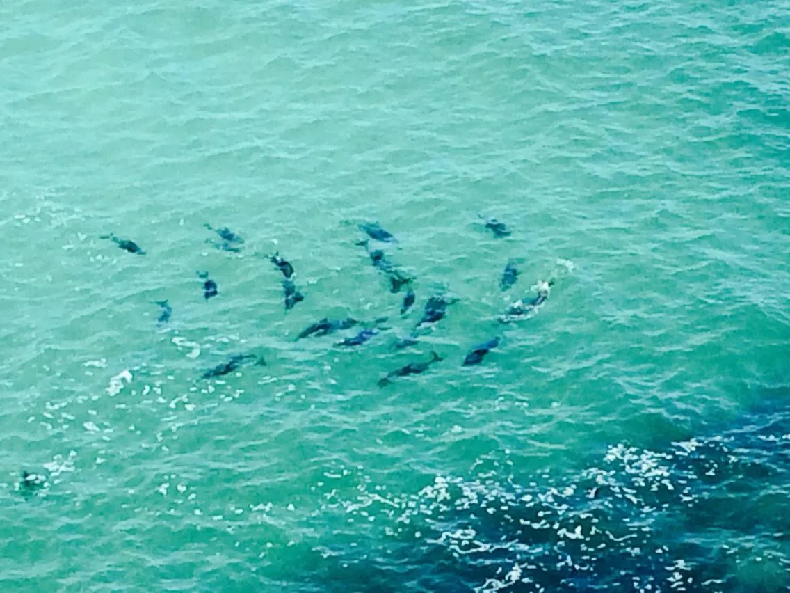 property_[object Object]_2