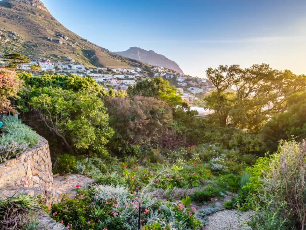 property_[object Object]_18