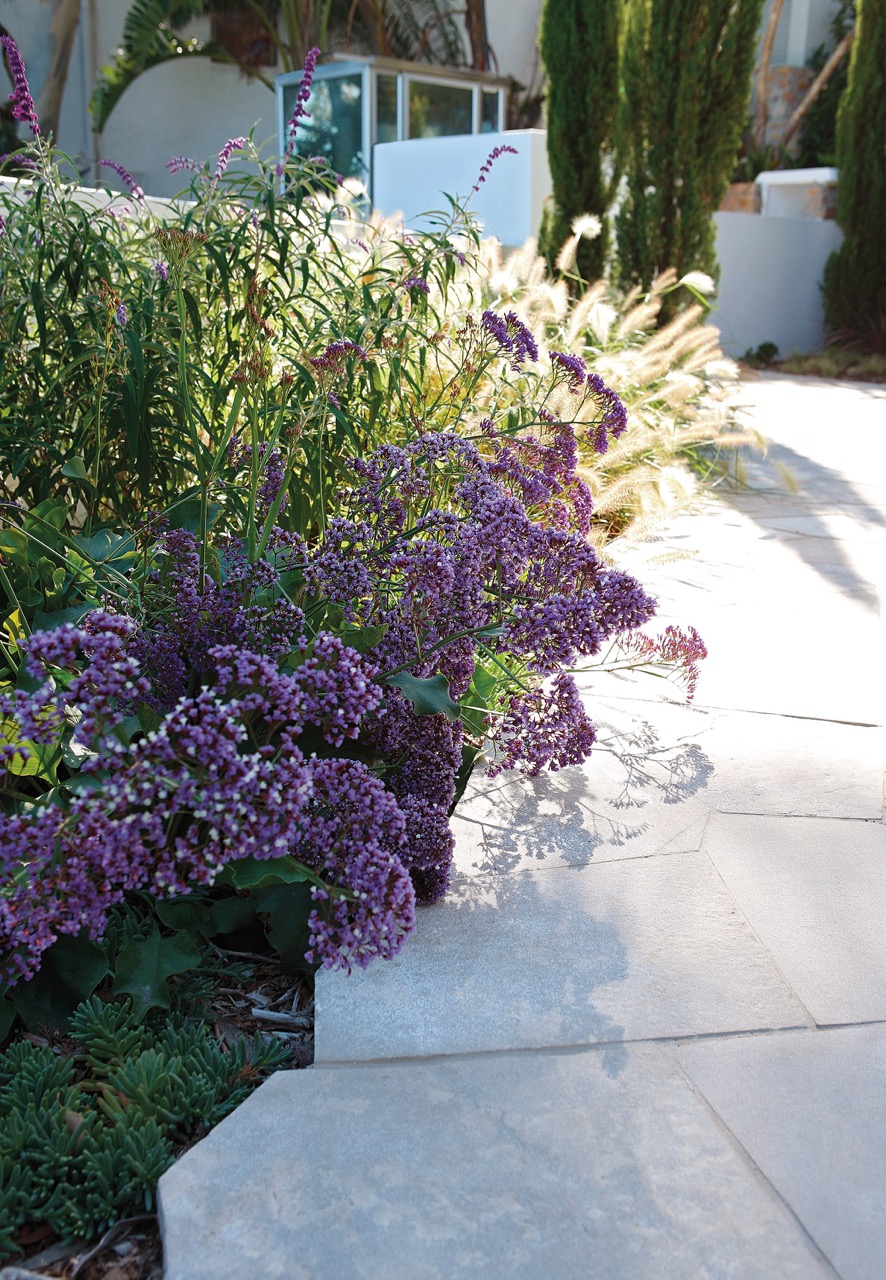 property_[object Object]_35