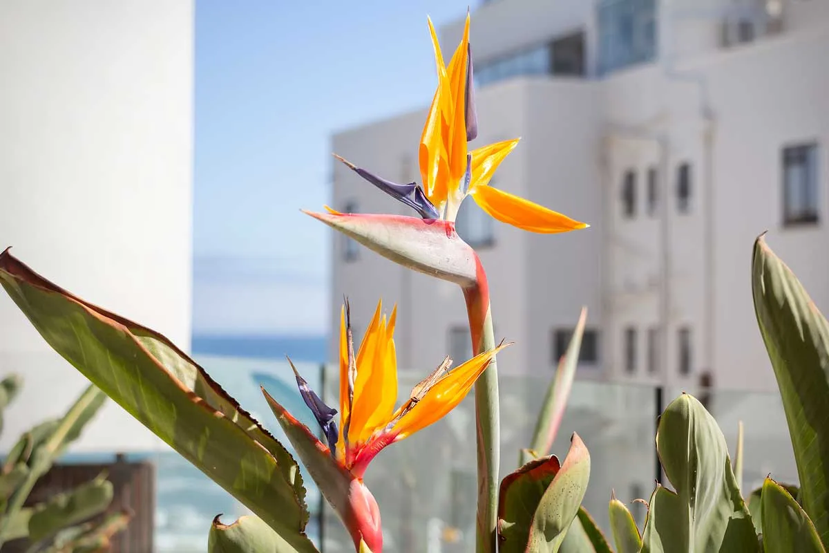 property_[object Object]_23