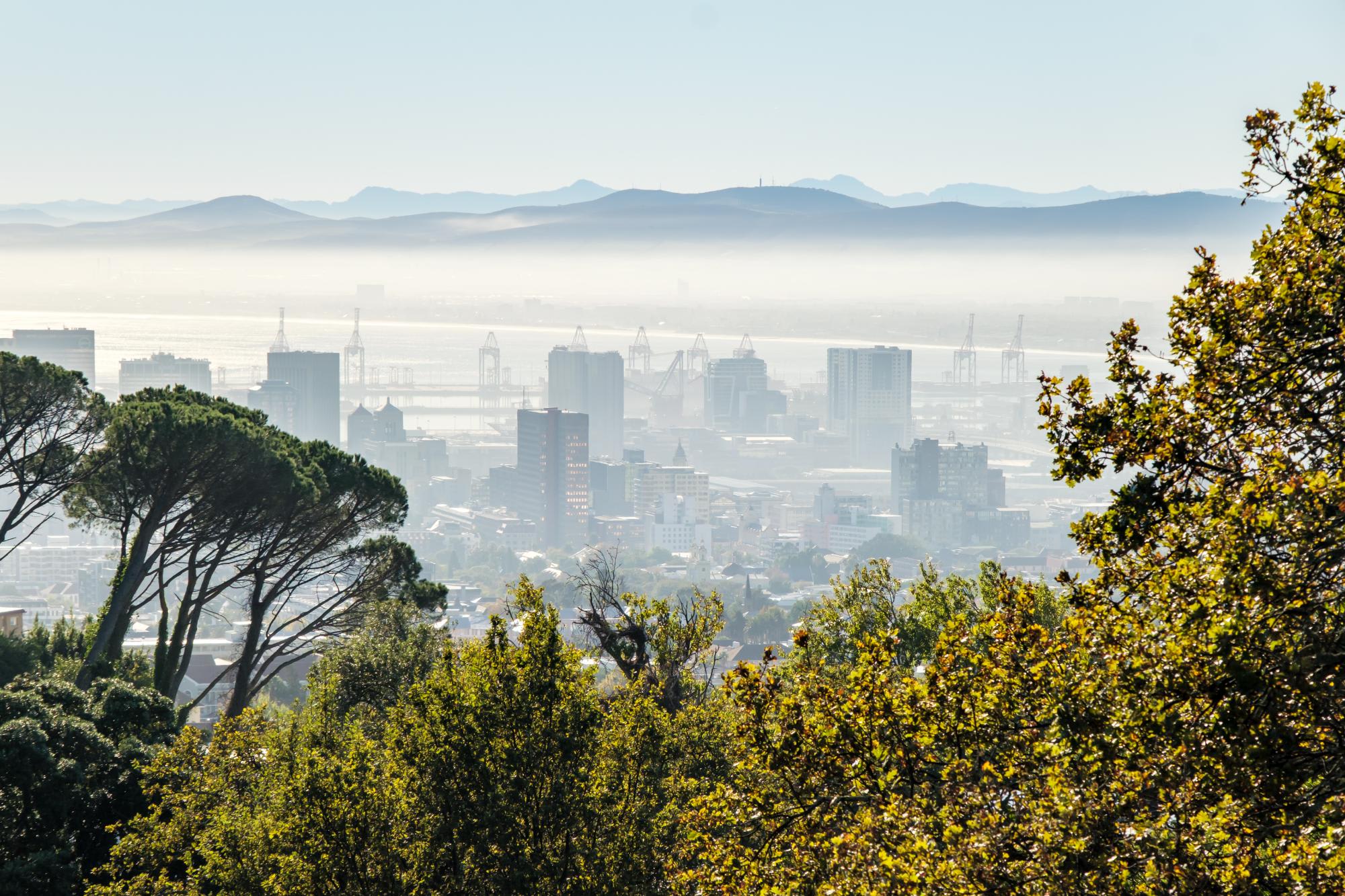 property_[object Object]_43