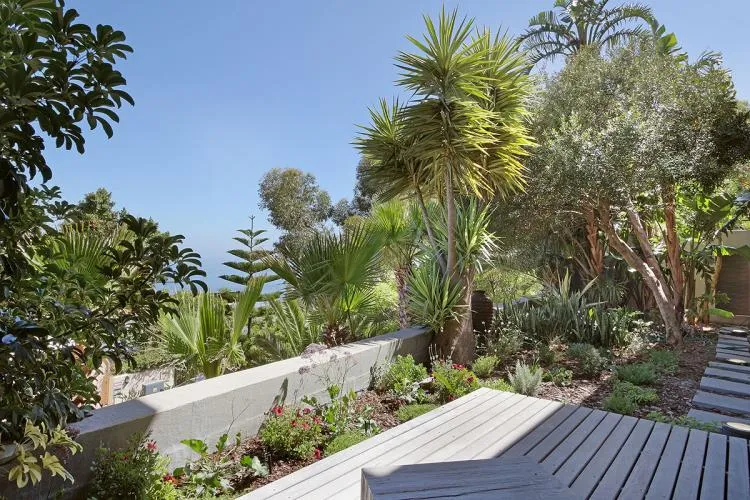 property_[object Object]_8