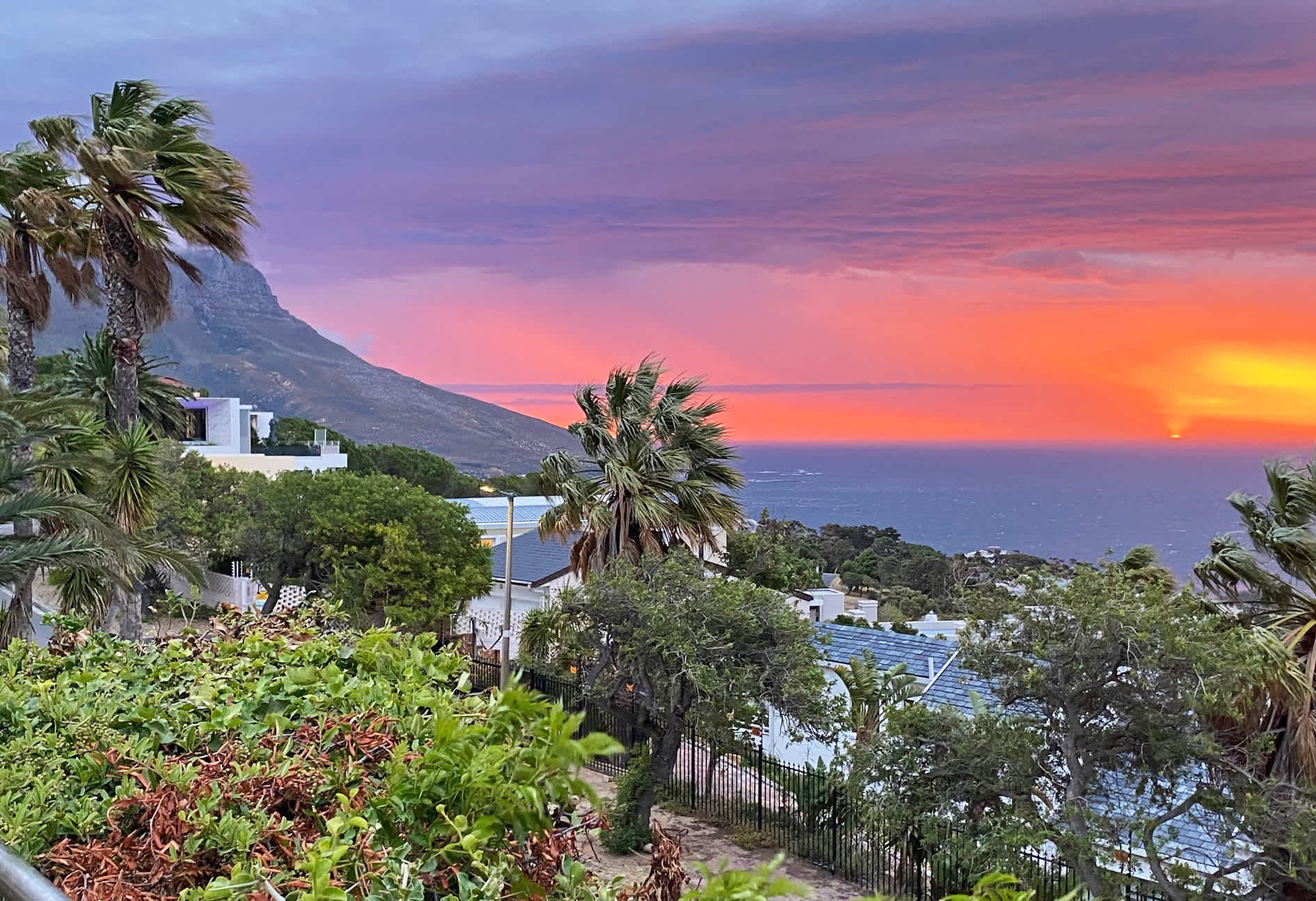 property_[object Object]_35