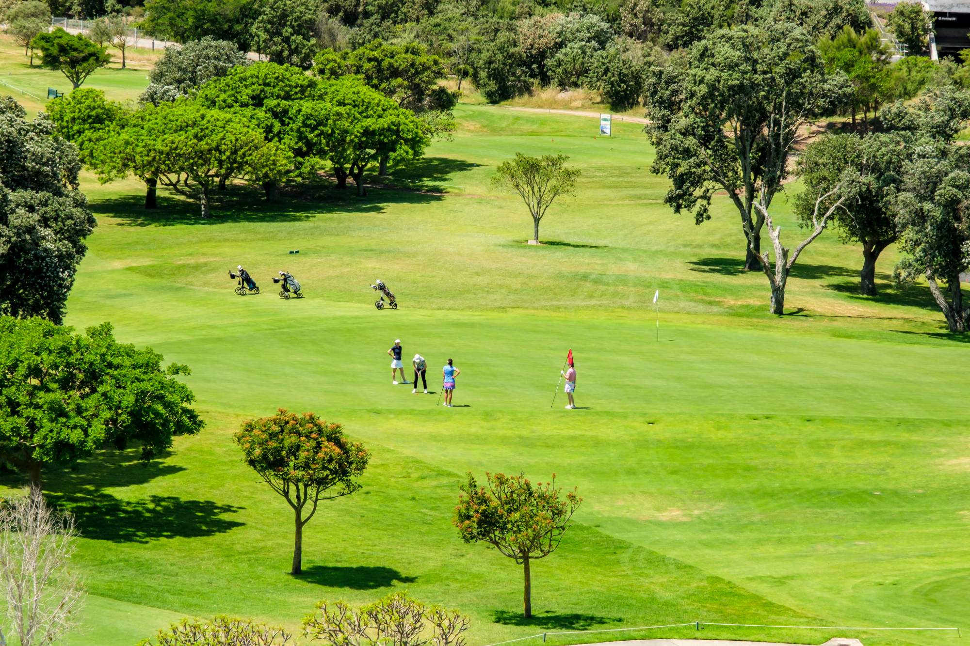 property_[object Object]_17