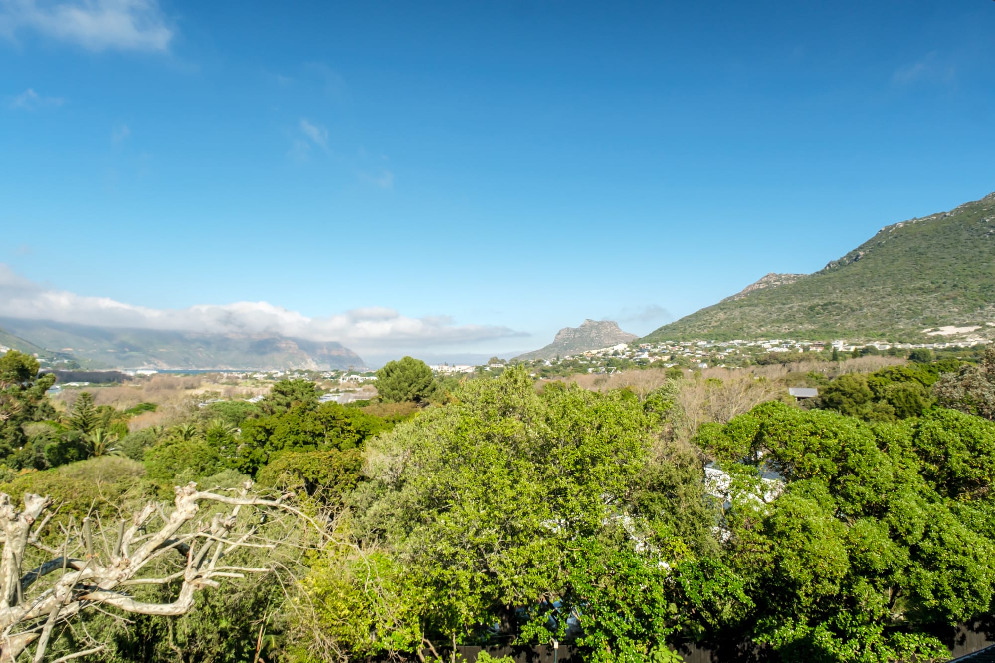 property_[object Object]_34