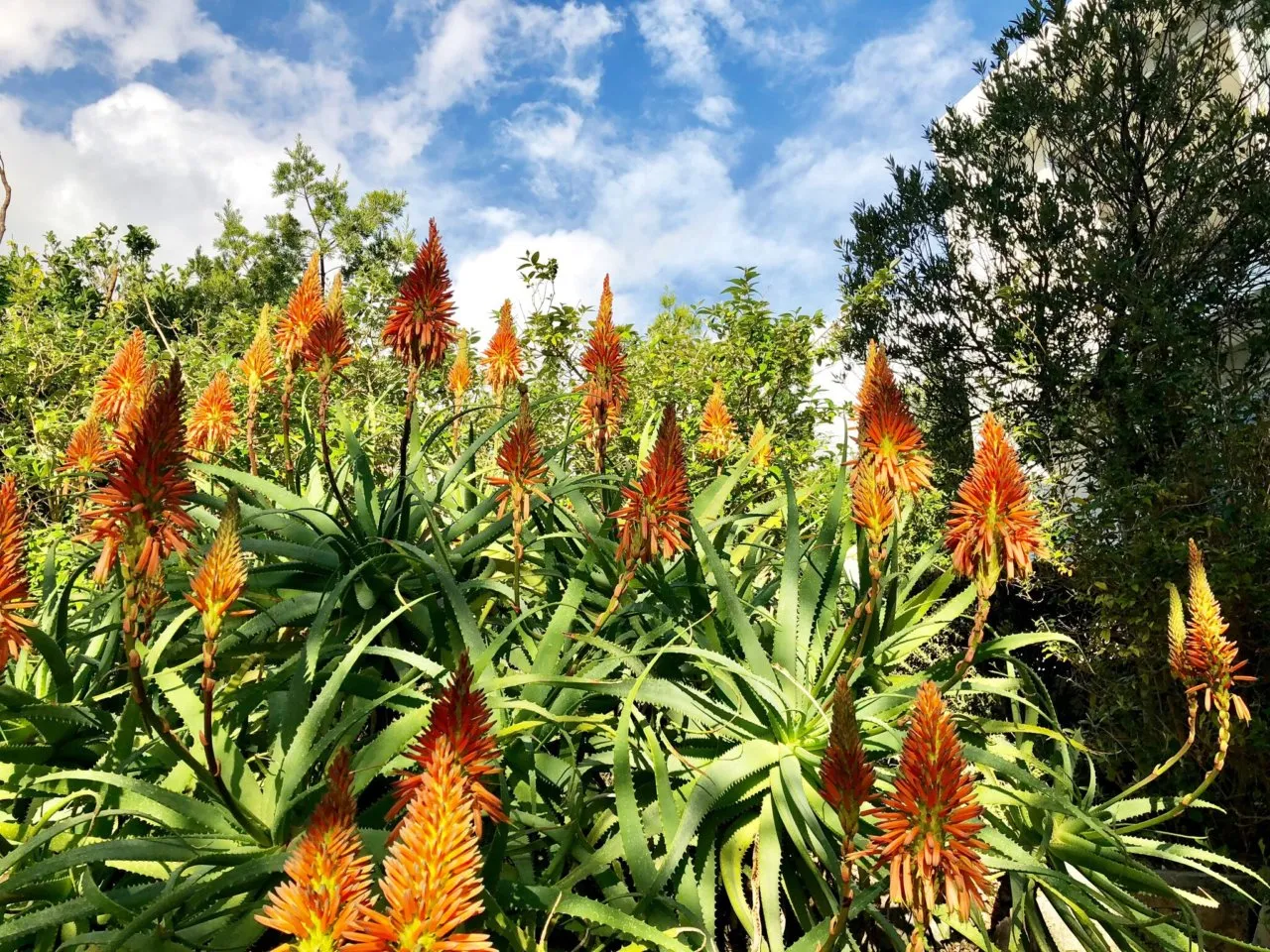 property_[object Object]_9