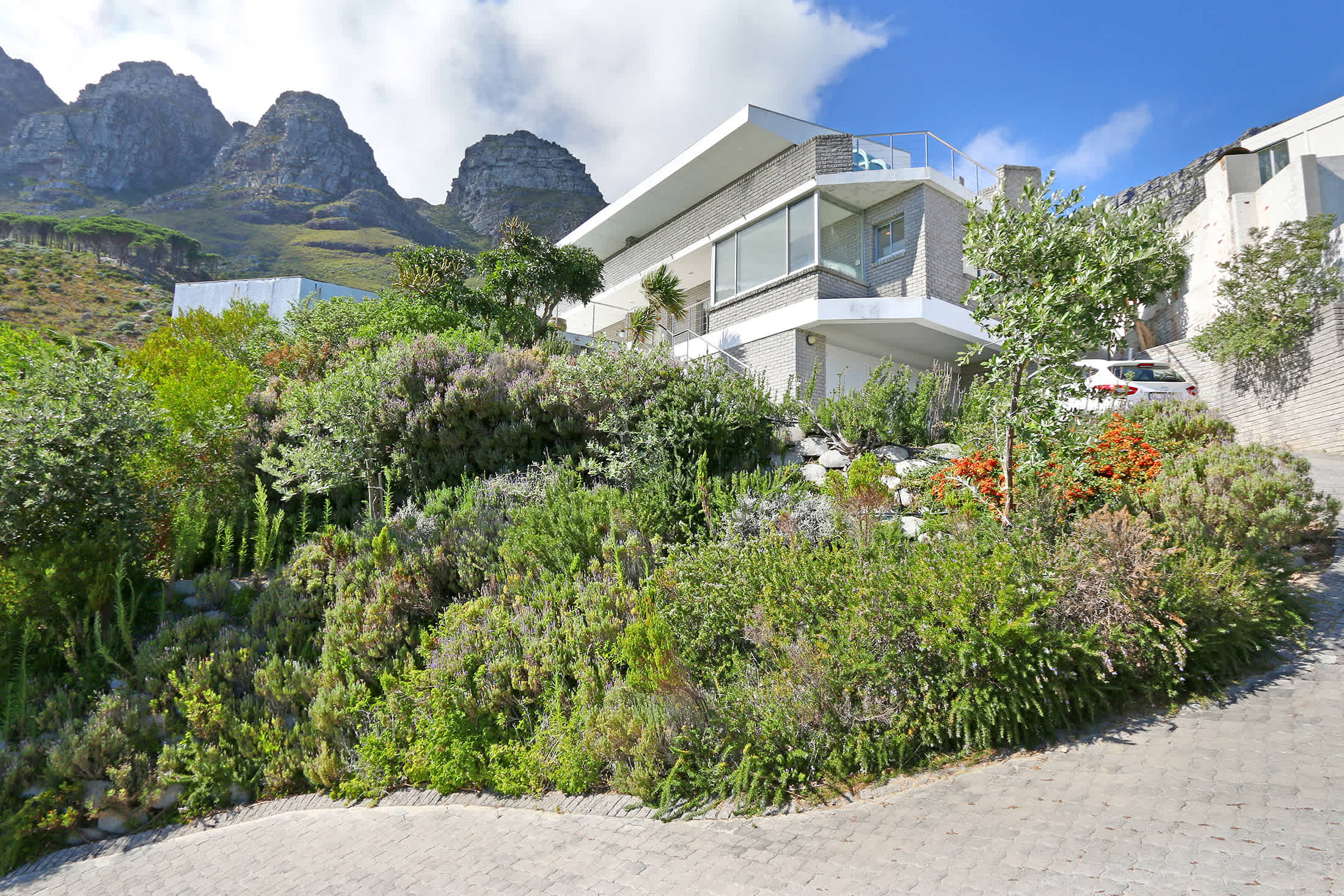 property_[object Object]_44