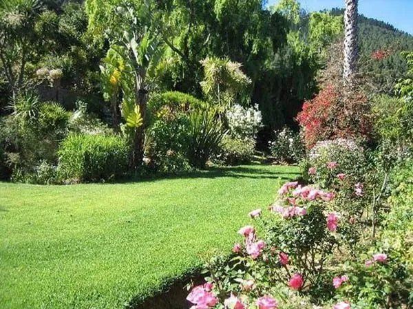 property_[object Object]_7