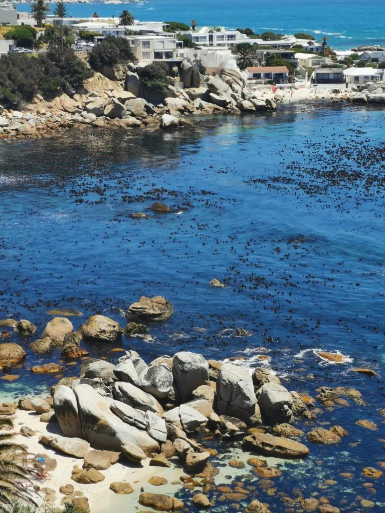 property_[object Object]_33