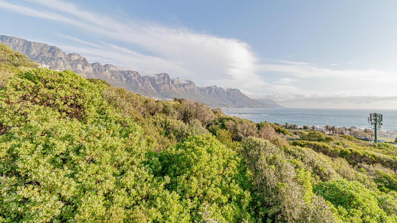 property_[object Object]_60