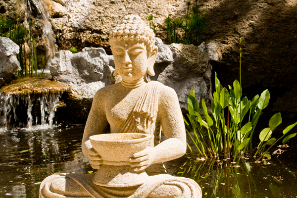 property_[object Object]_6