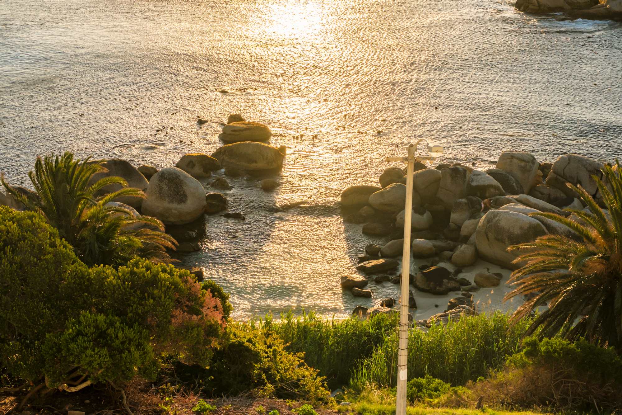 property_[object Object]_43