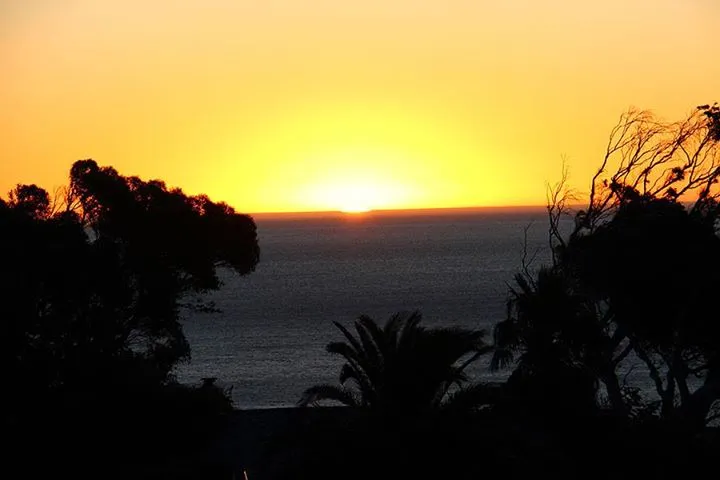 property_[object Object]_15